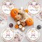 Little Pumpkin Paper Plates and Napkin Pumpkin Baby Shower Party Decorations